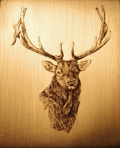 Hand engraved Elk
